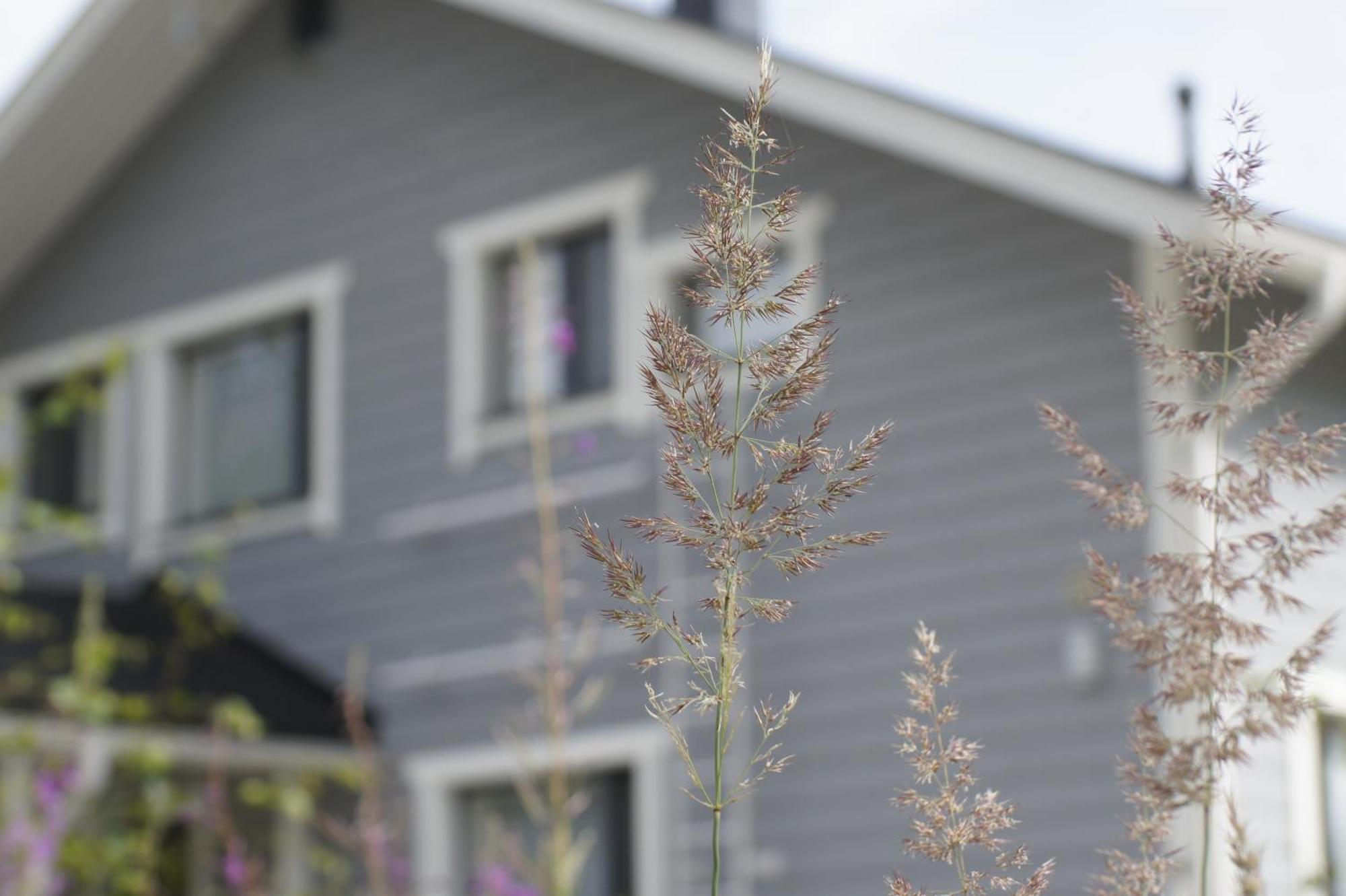 Matikkala Cottages Ruokolahti Esterno foto